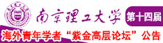 网站看搞逼南京理工大学第十四届海外青年学者紫金论坛诚邀海内外英才！